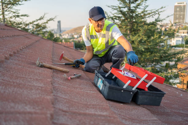 Best Historical Building Siding Restoration  in Garner, IA